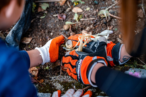 eurograden delo na vrtu