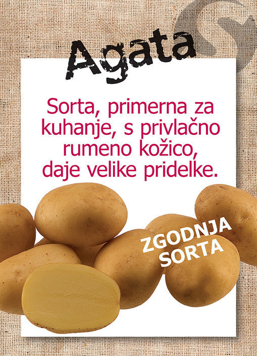 krompir agata