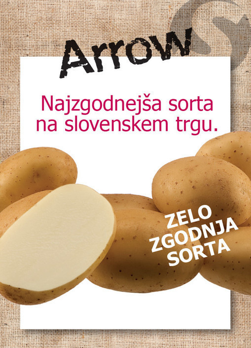 semenski-krompir-arrow