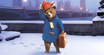 Medvedek PADDINGTON bo osvajal slovenska srca