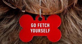 Komedija S KETNE (Strays)