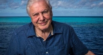 Dinozavri in jajca, predstavljeni v novi luči