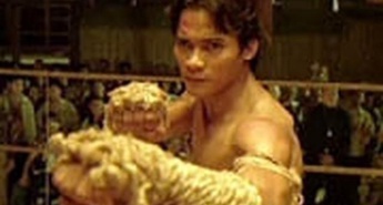 Novi šarmer na pretepaški sceni