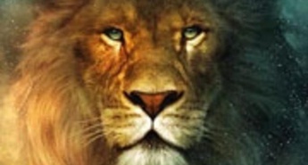 Floridske kronike: George, Jeb in kovček denarja