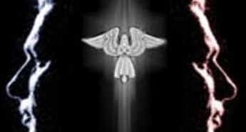 Zakaj bi poslušali kritike?