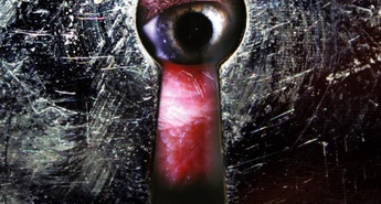 Zadnji teden Euroteke: Nizozemska