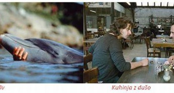 Urnik od 29. aprila do 5. maja