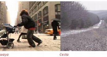 Urnik od 12. do 18. avgusta