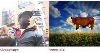 Urnik od 19. do 25. avgusta