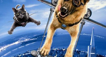 Filmsko poletje zaključujejo Mačke in psi: Maščevanje gospe Muce 3D