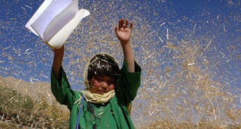 Buda se je zrušil od sramu