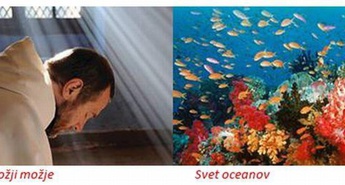 Urnik od 21. do 27. aprila