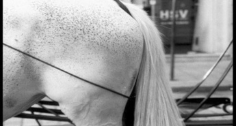 Opis in urnik tekmovalnega programa