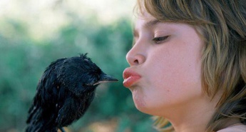 Jagodni izbor najbolj sveže kakovostne filmske produkcije za otroke in mlade