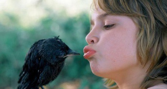 Urnik od 8. do 14. novembra