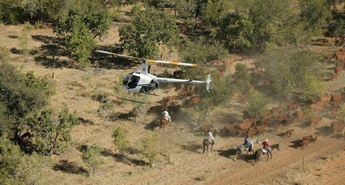 Ekskluzivna premiera na Viasat Explorer