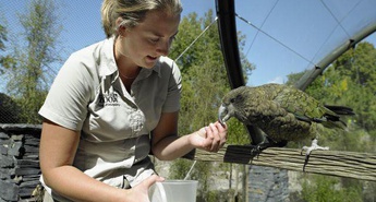 Živalski vrt (dvanajsta sezona)
