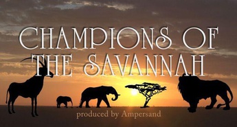 Čudoviti svet afriške divjine