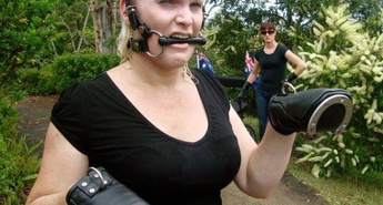 NOVE ODDAJE - OKTOBER 2013