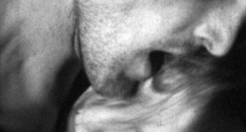 Nov mednarodni uspeh Karpa Godine in Slovenske kinoteke