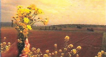 Brezplačna filmska projekcija v originalnem jeziku z angleškimi podnapisi