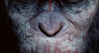 Vpogled v zakulisje snemanja filma