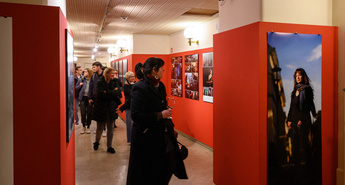 KURJA POLT 10: VSE NAJBOLJŠE!