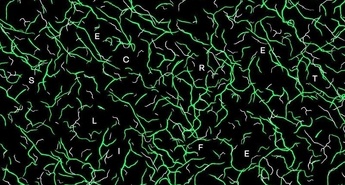 8. edicija FeKK Festivala