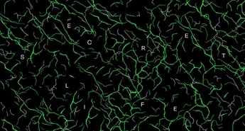Prihaja 8. FeKK: Skrivno življenje!