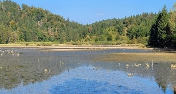 Slovenski vodni krog