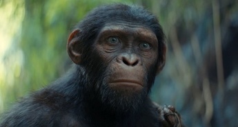 KRALJESTVO PLANETA OPIC