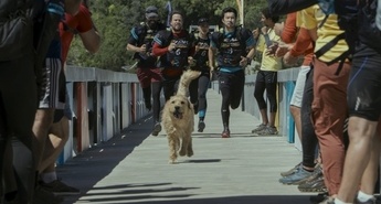 TA ČETRTEK V KINU ...