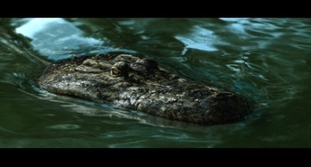 Strah ima nov dom …