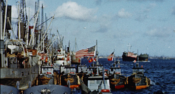 Dan D: 80. obletnica 