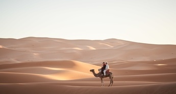 DETEKTIVKA FISHERJEVA IN GROBNICA SOLZA