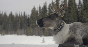 Viasat Nature v marcu