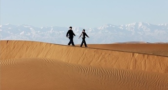 Nepričakovano prijateljstvo