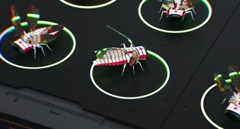 KAR OBLIKUJEJO ŽIVALI