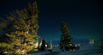 Viasat Nature v juliju