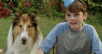 Najbolj znan škotski ovčar 