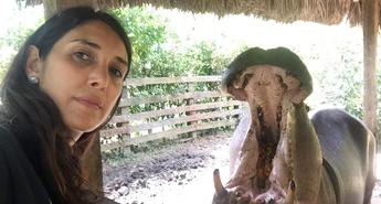 LOV NA ESCOBARJEVE POVODNE KONJE