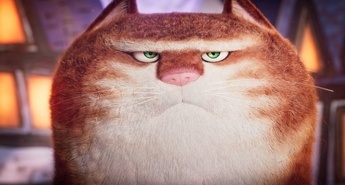 Zgodba o uličnem mačku po imenu Mare