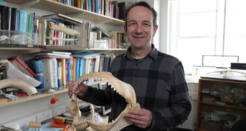 Viasat Explore v juniju 2025