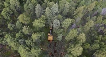 NA BLATNIH GORSKIH POTEH