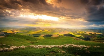 Februarja na Viasat Nature