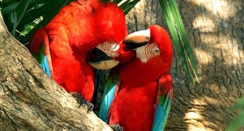 Viasat Nature v septembru