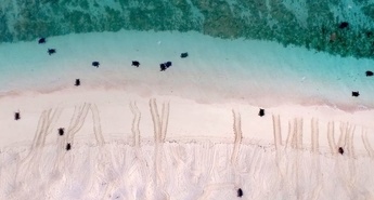 REŠITE GREBEN, REŠITE PLANET!