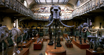 Po sledeh orjaškega mamuta