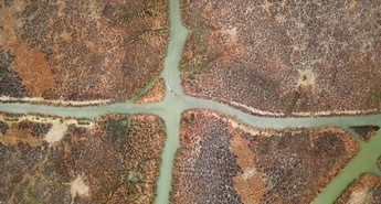 Ponovno odkrivanje Mezopotamije