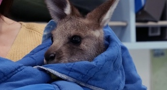 Viasat Nature nove oddaje v septembru